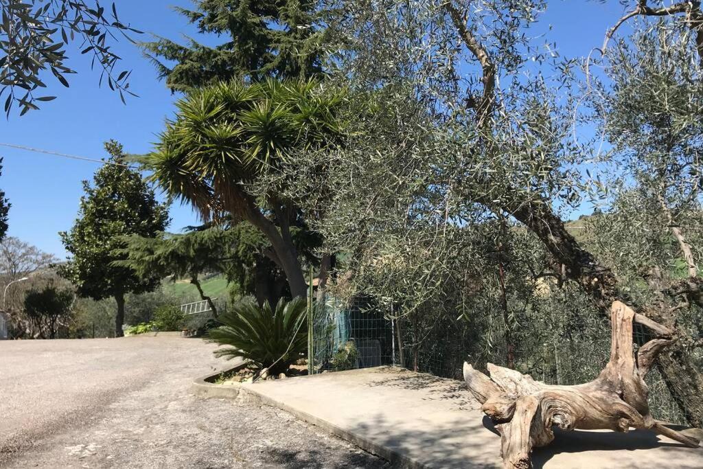 포르토 다스콜리 Casa Lu Monaco Tranquillita A Due Passi Dal Mare 아파트 외부 사진
